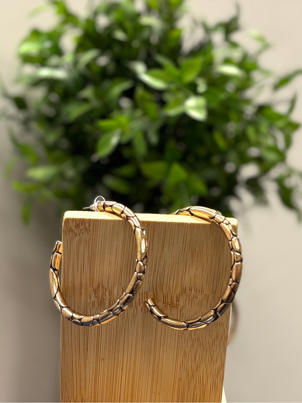 Hoop Earrings - Fashion Jewelry